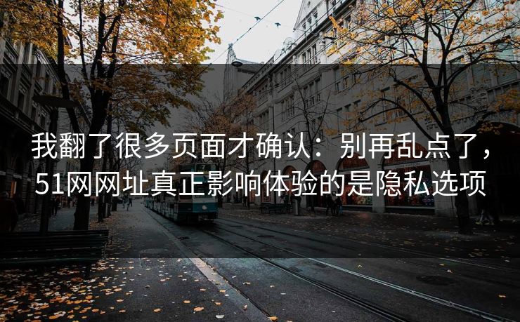 我翻了很多页面才确认：别再乱点了，51网网址真正影响体验的是隐私选项